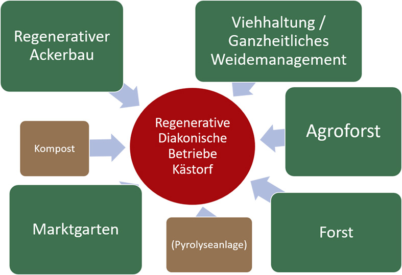 Regenerative Landwirtschaft Nachhaltigkeit Dachstiftung Diakonie